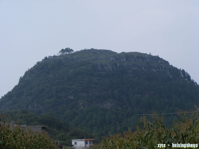 DSCF0745.jpg