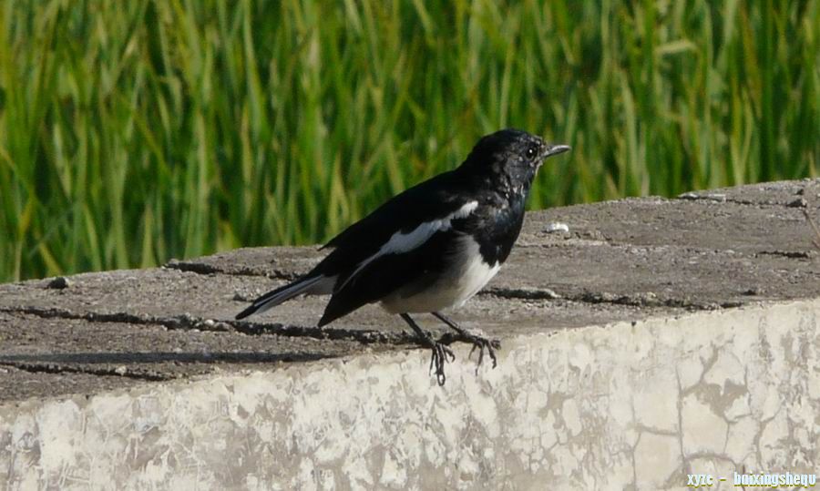 2010ʲô.JPG