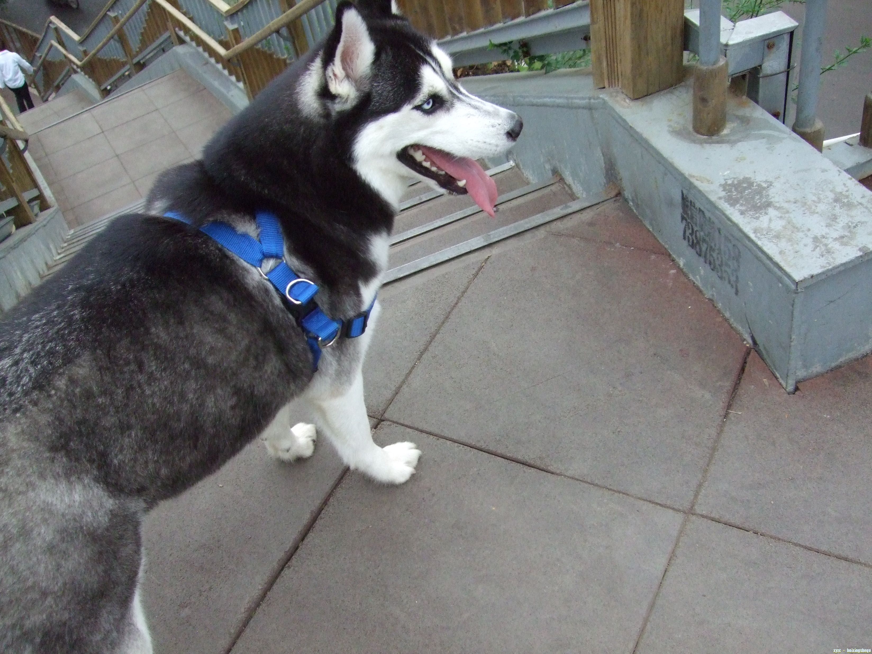 Ƭ 022.jpg