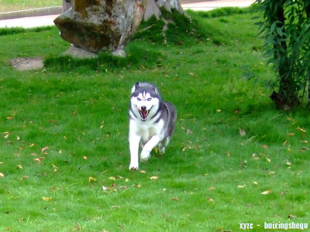 Ƭ 006.jpg