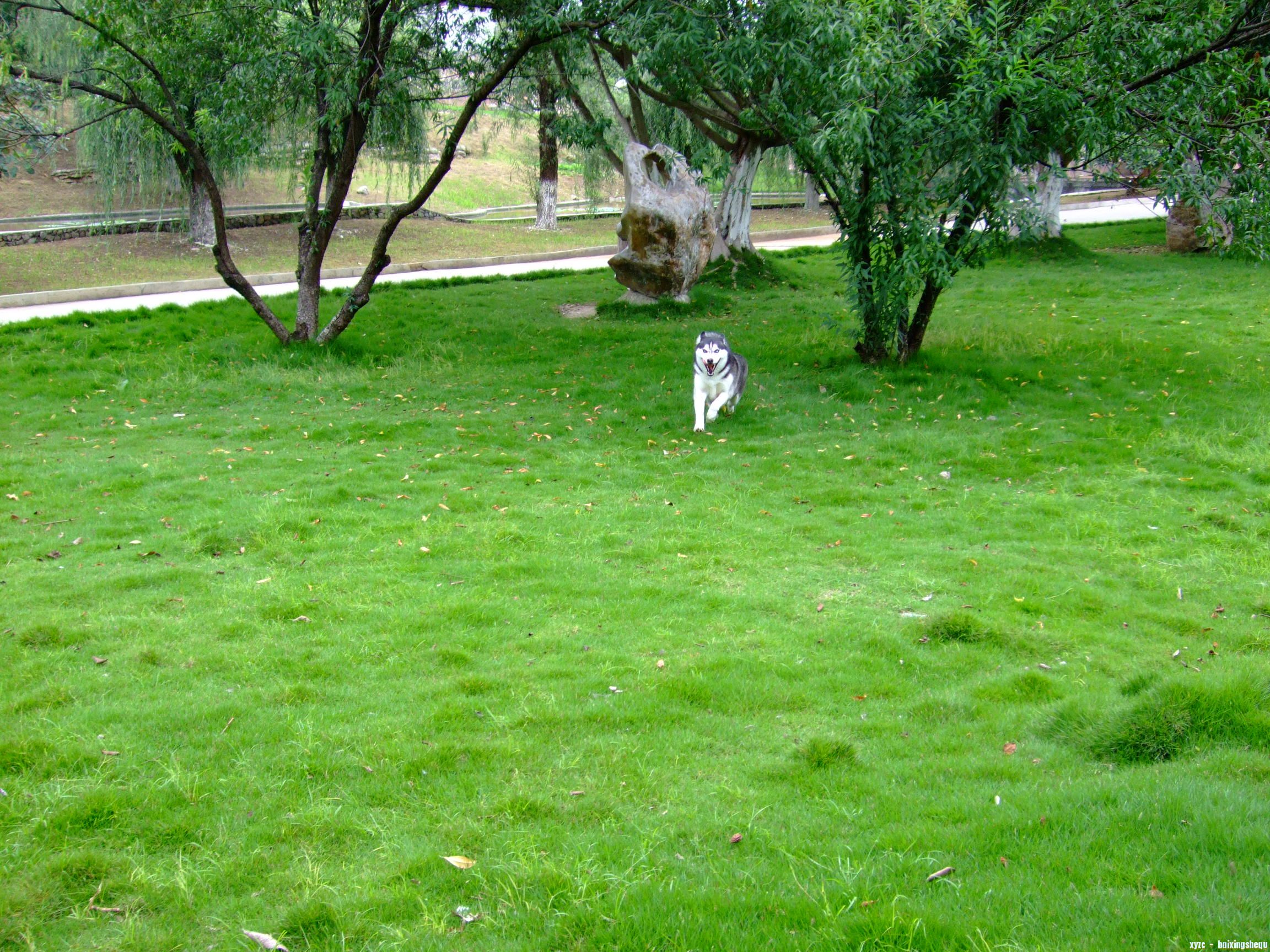 Ƭ 005.jpg