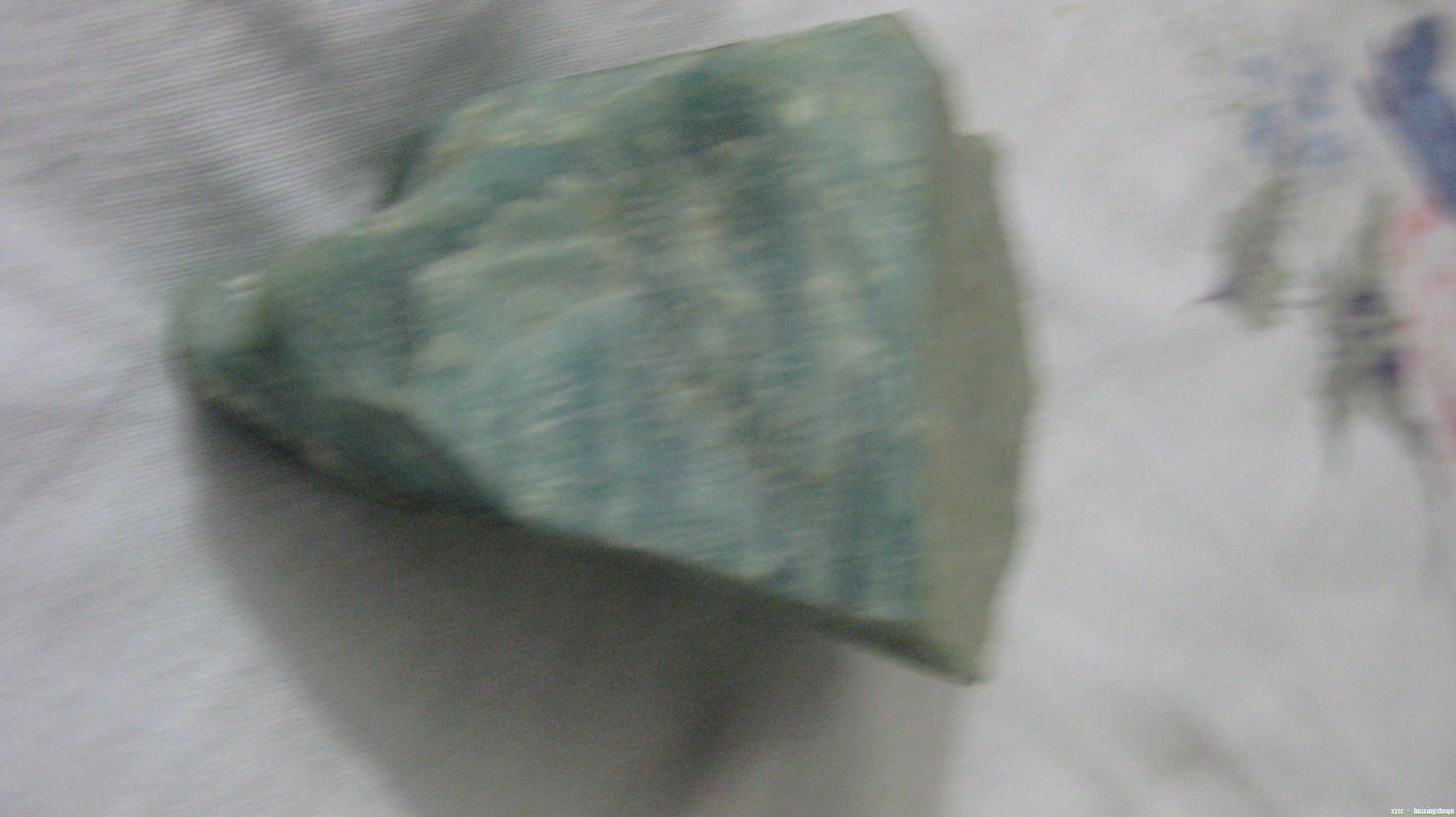 IMG_1372.jpg