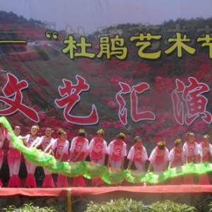 ׽조ž黨ڡԲĻ
