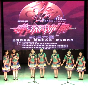  2013ʹݸ質ǭѡʷ׳